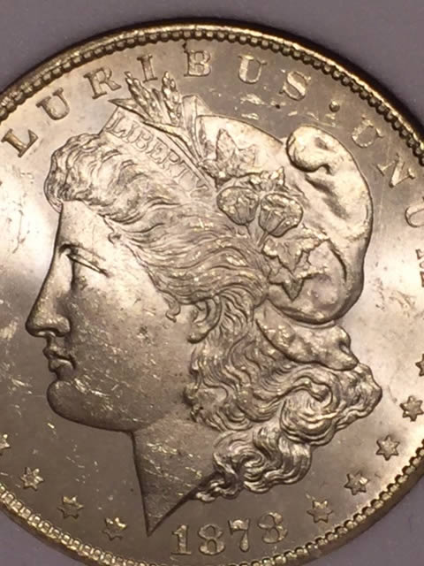 1878-Morgan-VAM-11-Grade-Please