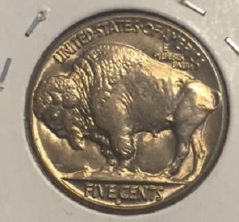 1937-S/S-Buffalo-Nickel-For-Grading
