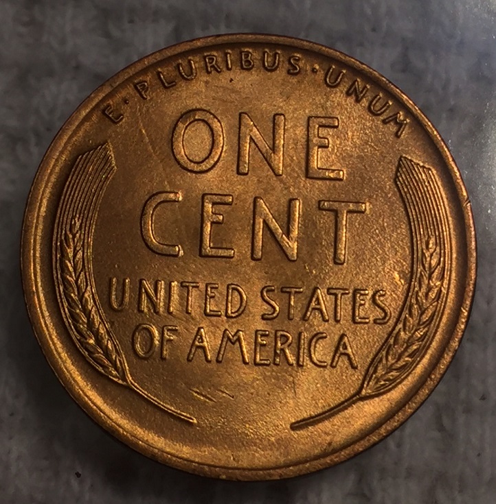 1919-Lincoln-Wheat-Cent-For-Grading