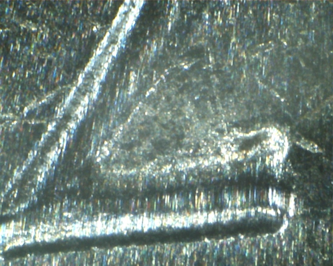 2017-Ellis-Island-Error-Now-With-Pictures
