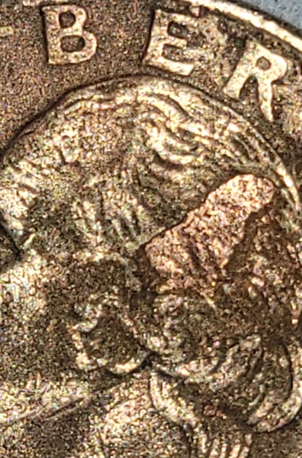 This-1995-Coin-Is-Black-And-Two-Toned?-Error-On-Hair?