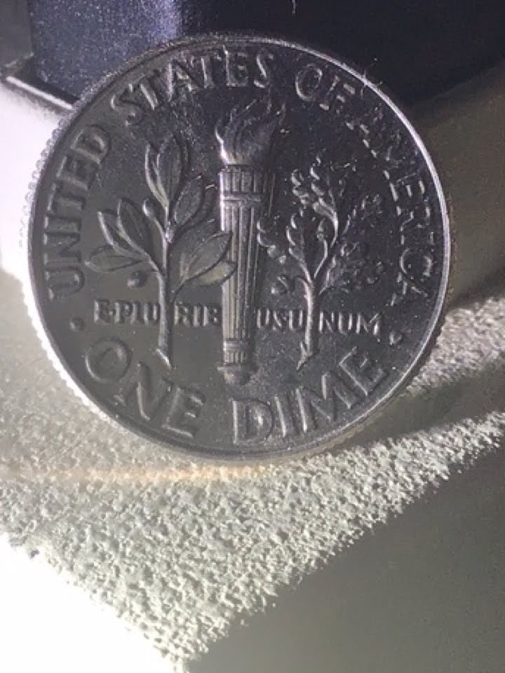 2018-D-Dime-With-A-Cocoon-On-The-Olive-Plant