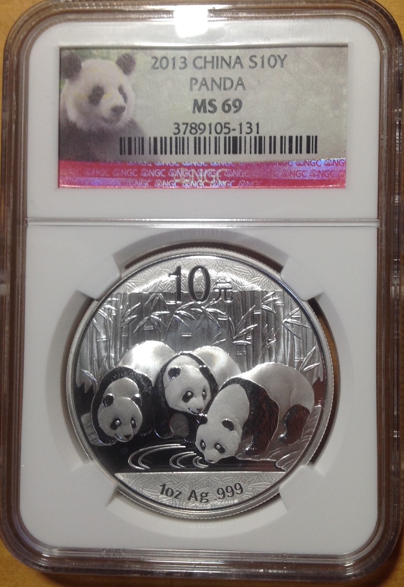 Newest-Member-Of-My-Panda-Family