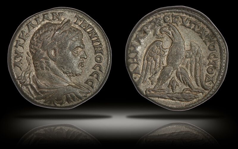 My-Ancient-Coin-Aquisitions