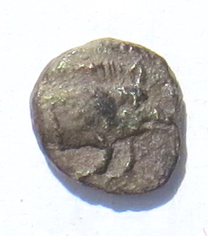Can't-Believe-This-Is-So-Small!