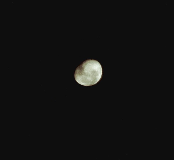 Is-It-Good-Pics-With-Sky-Light-Only?