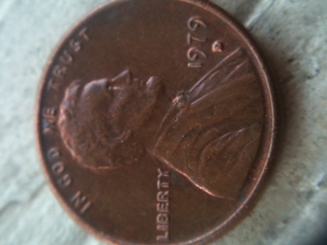 1979-Copper-With-A-Dot?