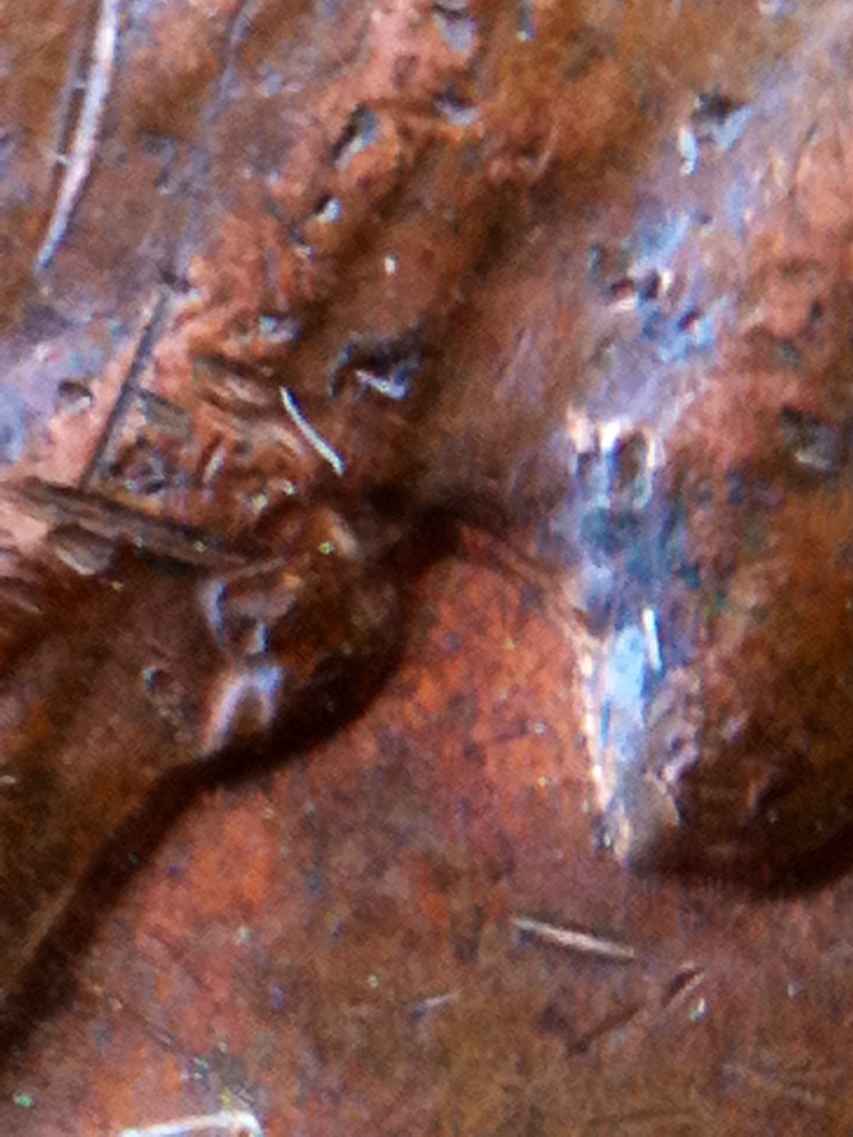 1962-D-Possible-Doubled-Die-On-Neck?