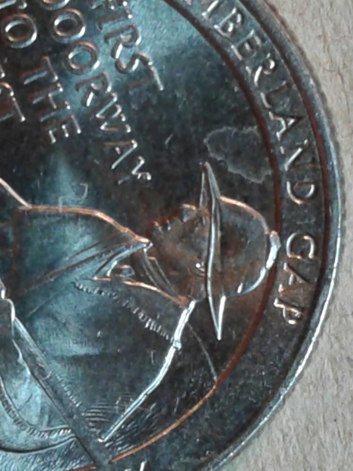 2016-Cumberland-Gap-Error