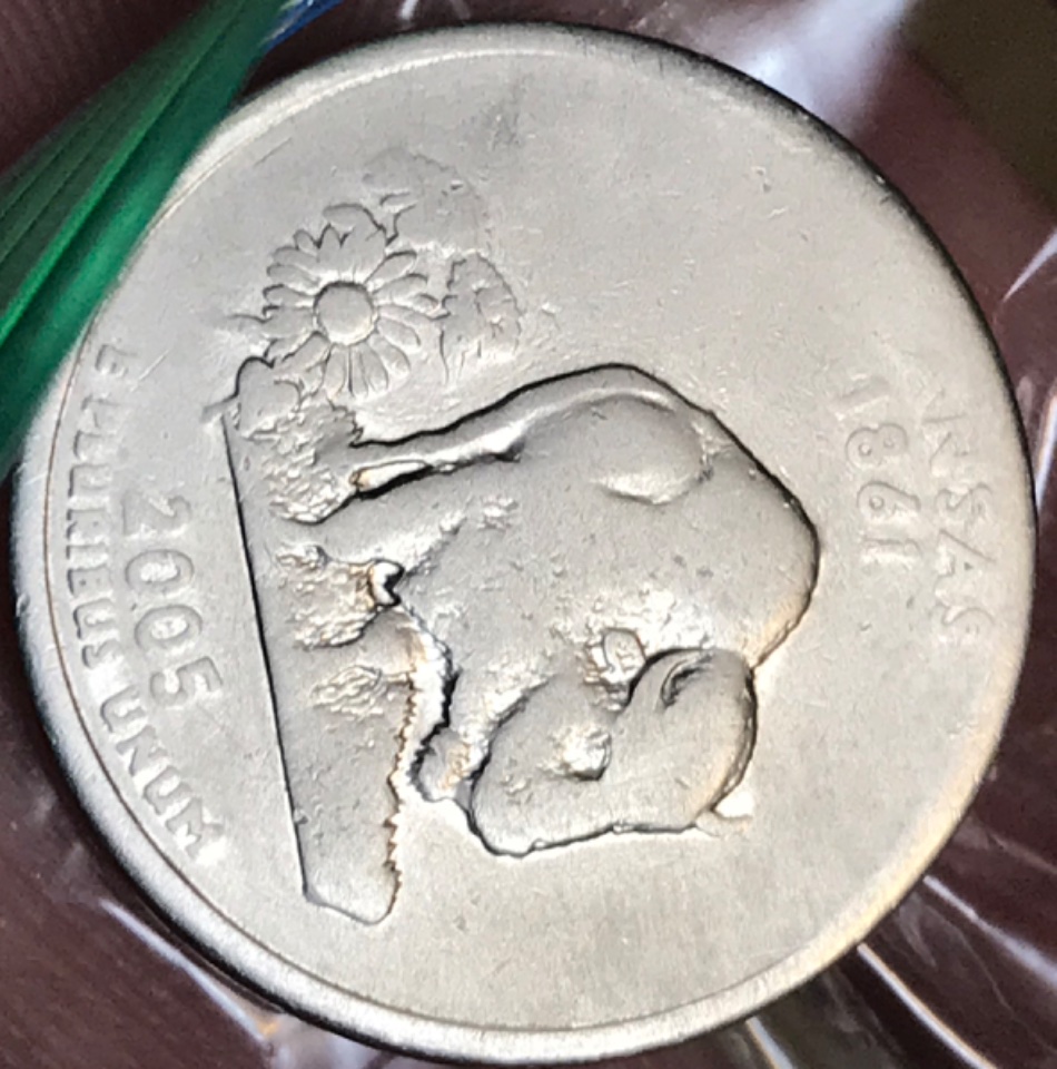 2005-Quarter-Error?