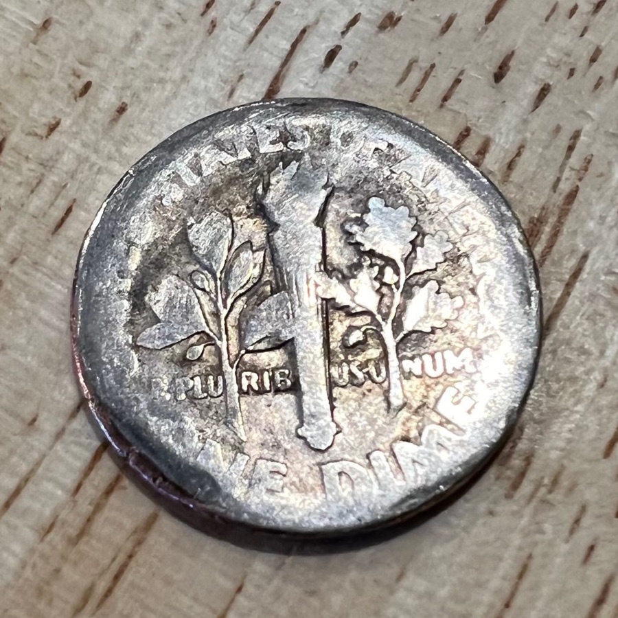Came-Across-A-Wild-Dime-Today: