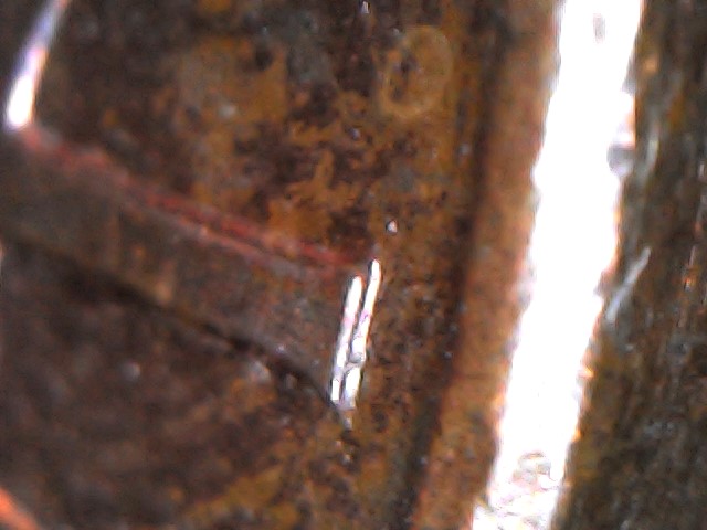 1998-Lincoln-Penny-DDR-Error