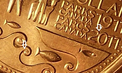 2011-Loonie