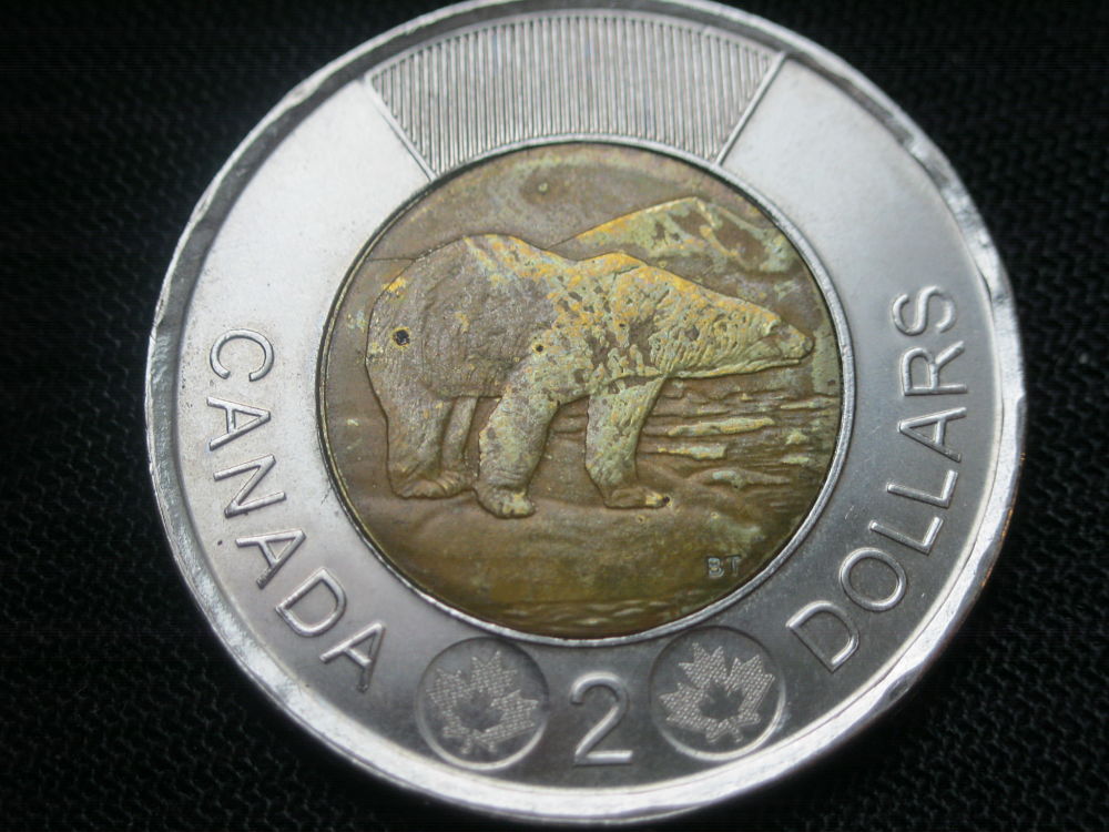 2017-Toonie?-Can-This-Be?