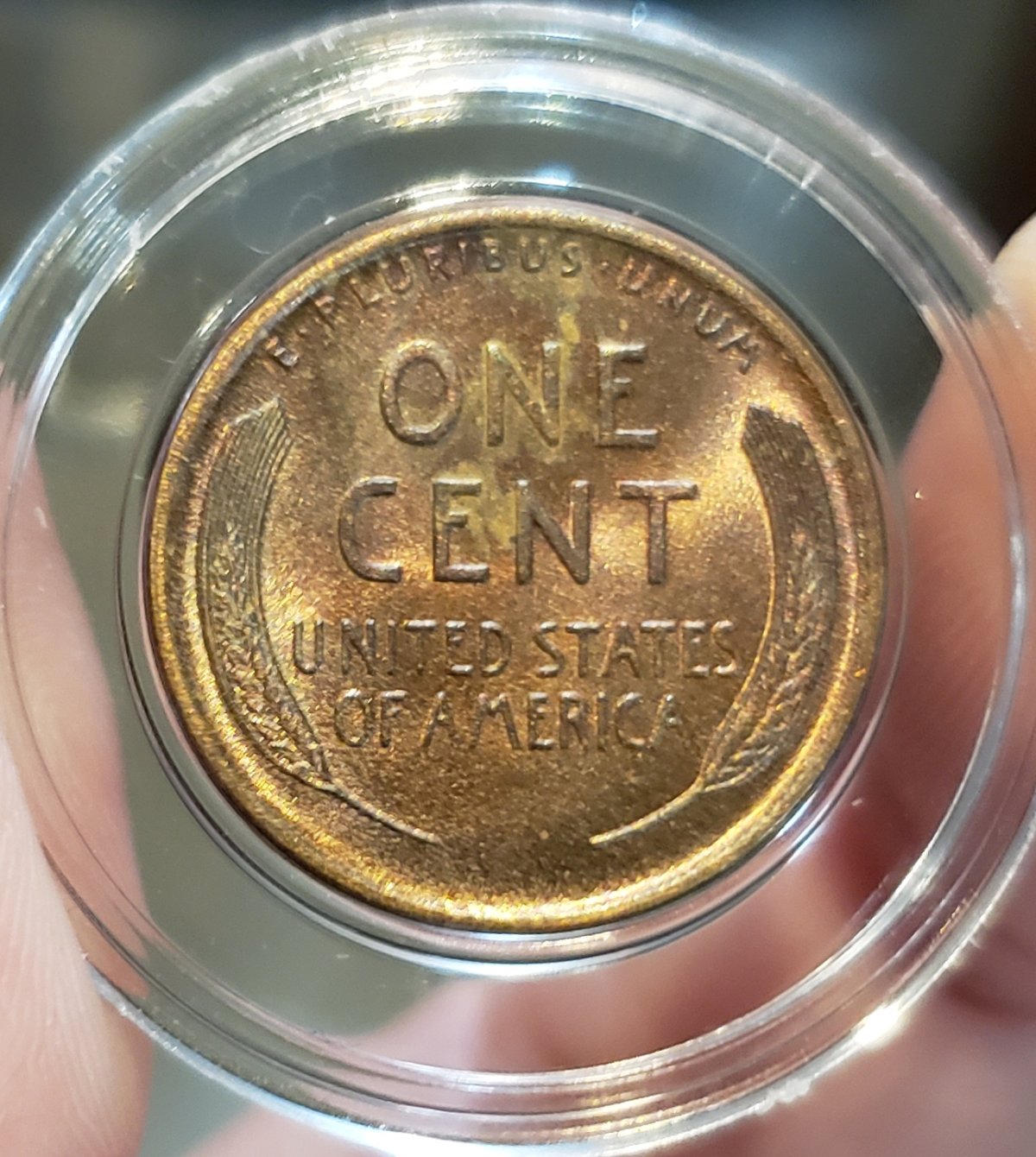 1909-P-Lincoln-Wheat-Cent,-Grade.