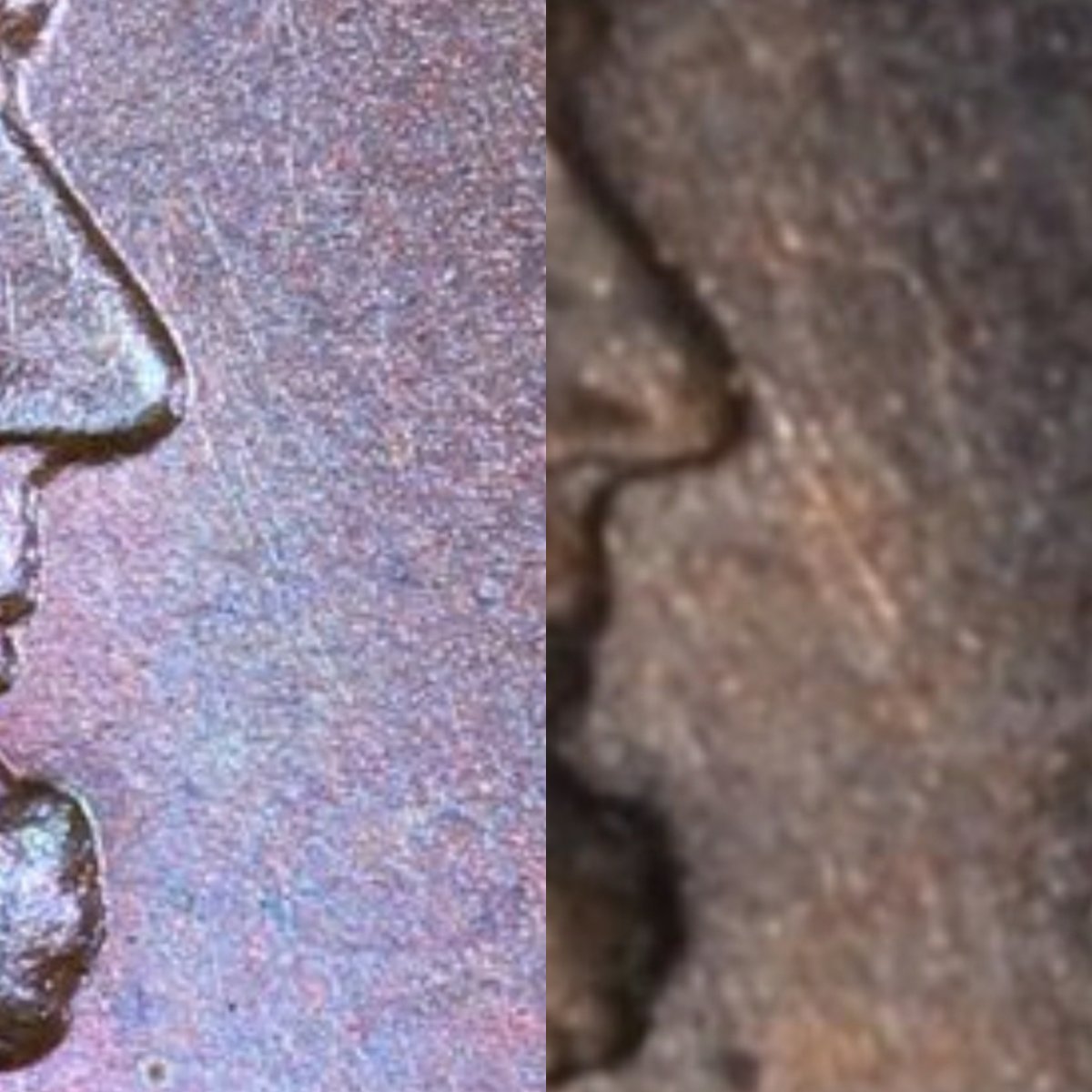 1909-Lincoln-Wheat-Cent,-Grade-Opinions?