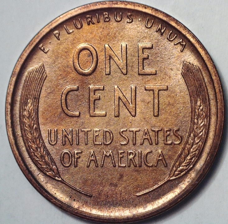 1909-Lincoln-Wheat-Cent,-For-Grading.
