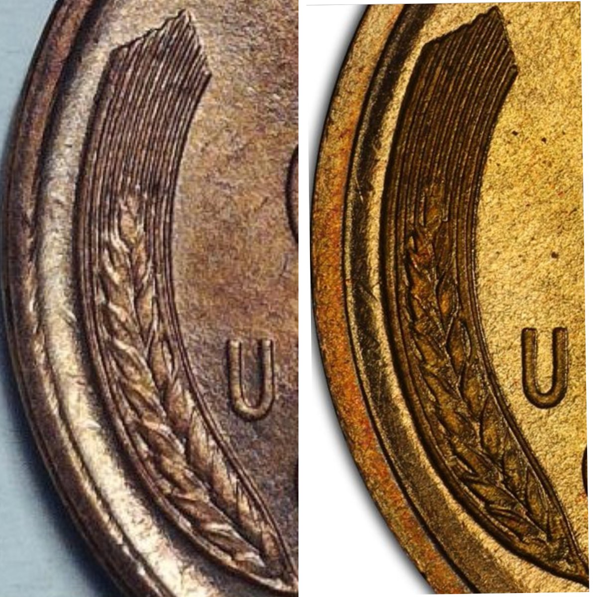 1909-Lincoln-Wheat-Cent,-For-Grading.