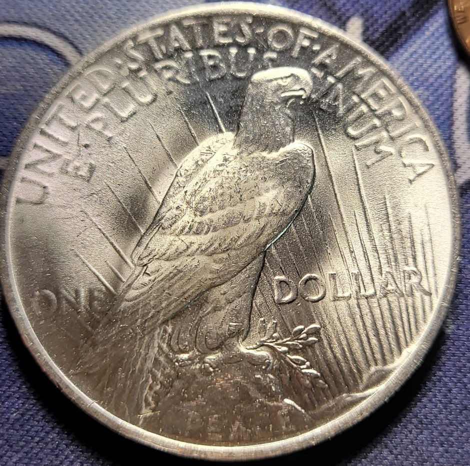 1923-Peace-Dollar-For-Grading