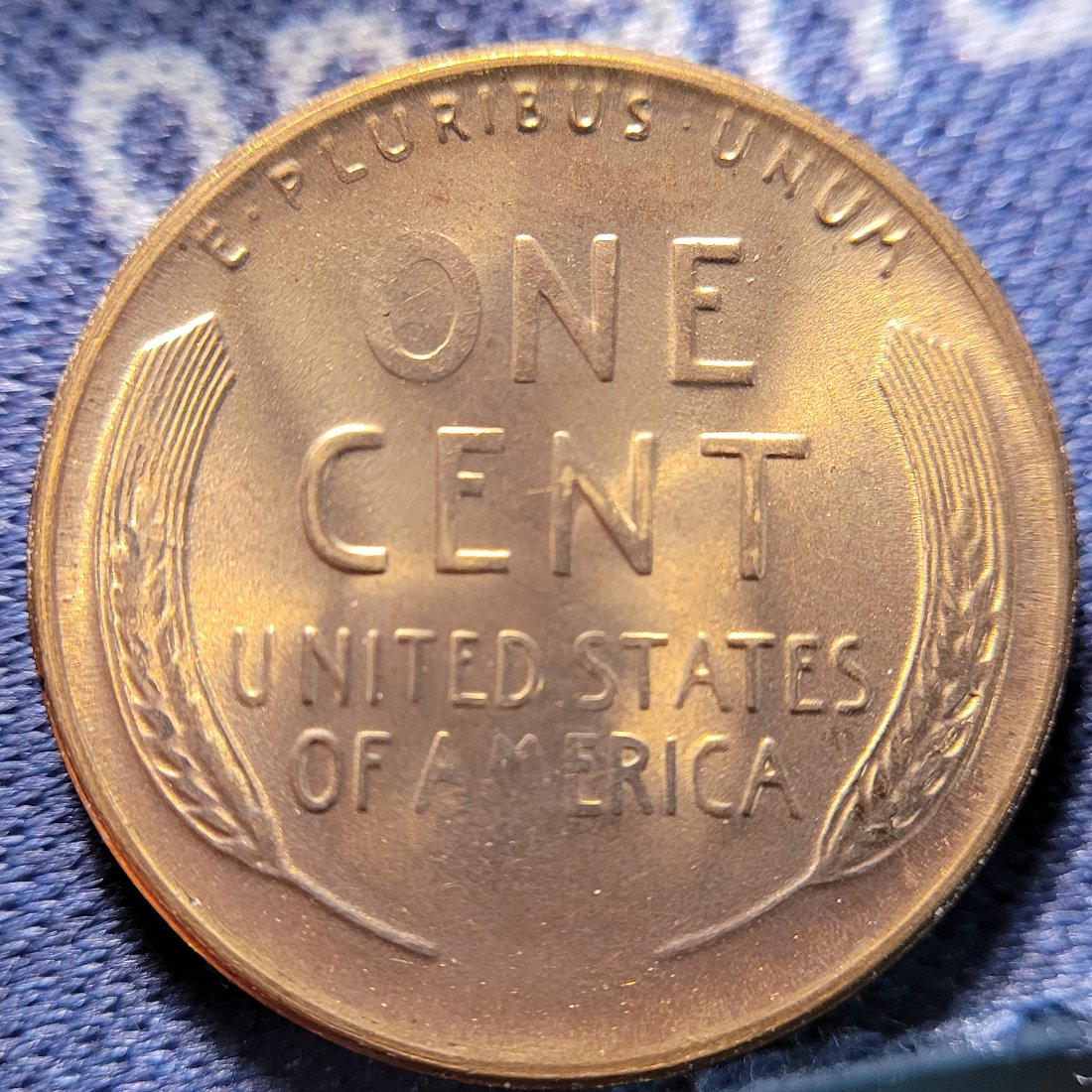 1954-D-Lincoln-Wheat-Cent-For-Grading