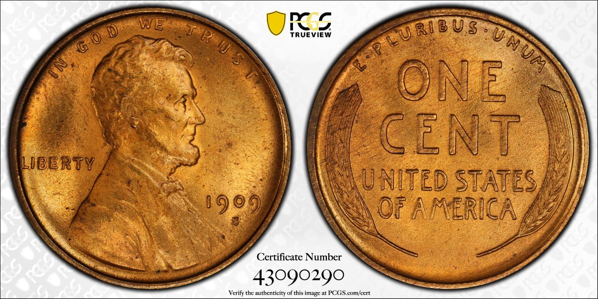 1909-S,-Lincoln-Wheat-Cent,-You-Vs.-NGC.