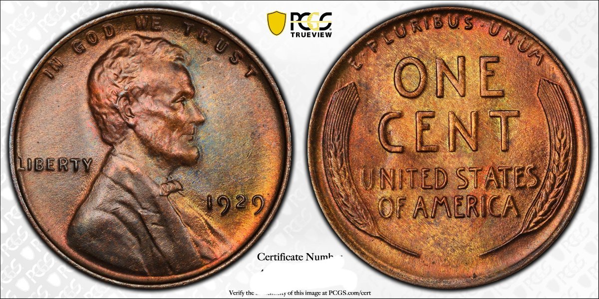 1929-LWC,-You-Vs-PCGS.