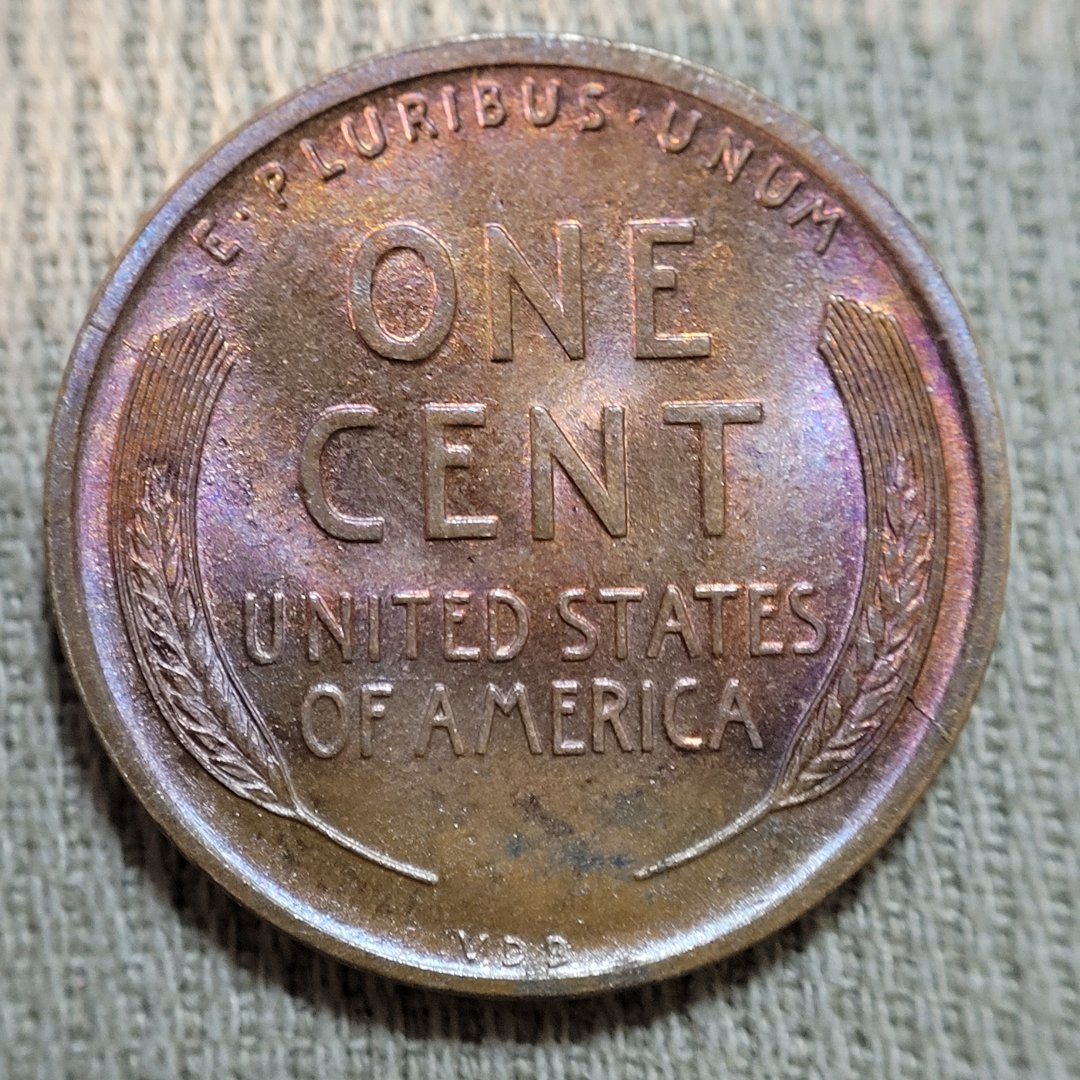 1909-VDB-Lincolb-Wheat-Cent,-For-Grading.