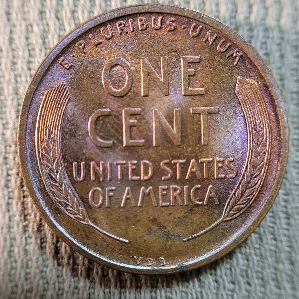1909-VDB-Lincolb-Wheat-Cent,-For-Grading.