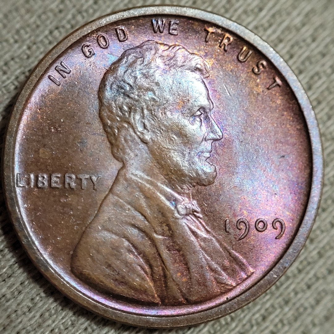 1909-VDB-Lincolb-Wheat-Cent,-For-Grading.