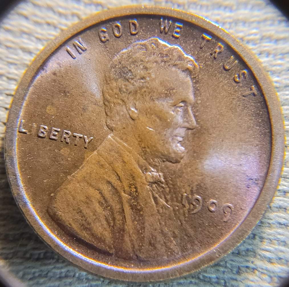 1909-VDB-Lincolb-Wheat-Cent,-For-Grading.