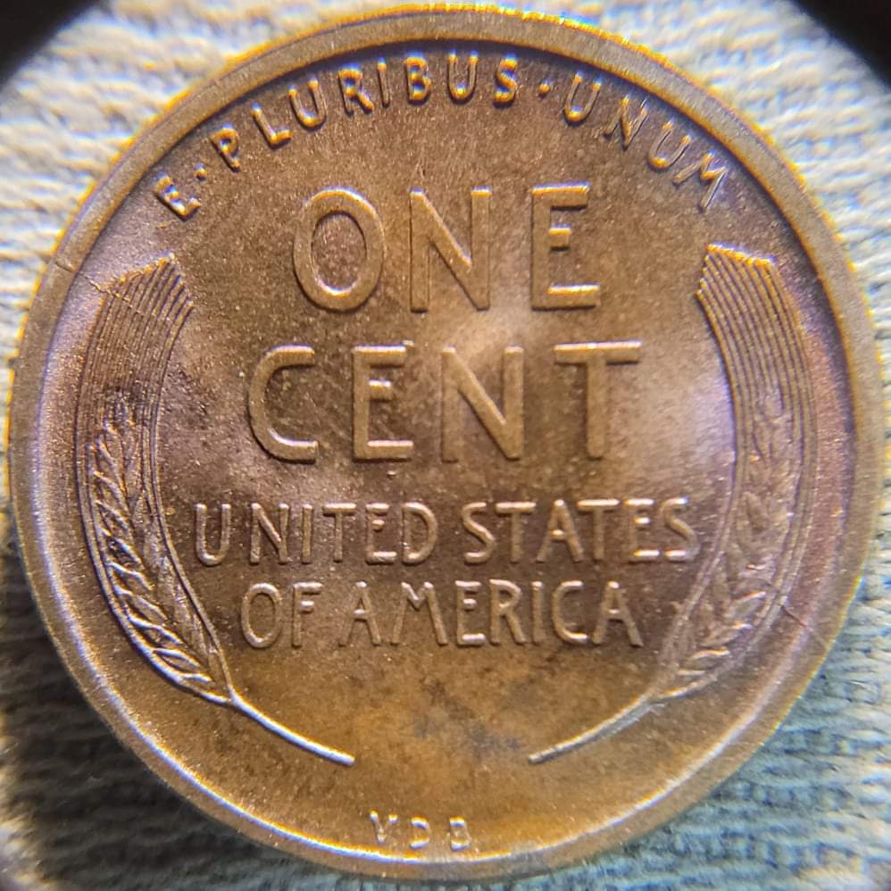 1909-VDB-Lincolb-Wheat-Cent,-For-Grading.