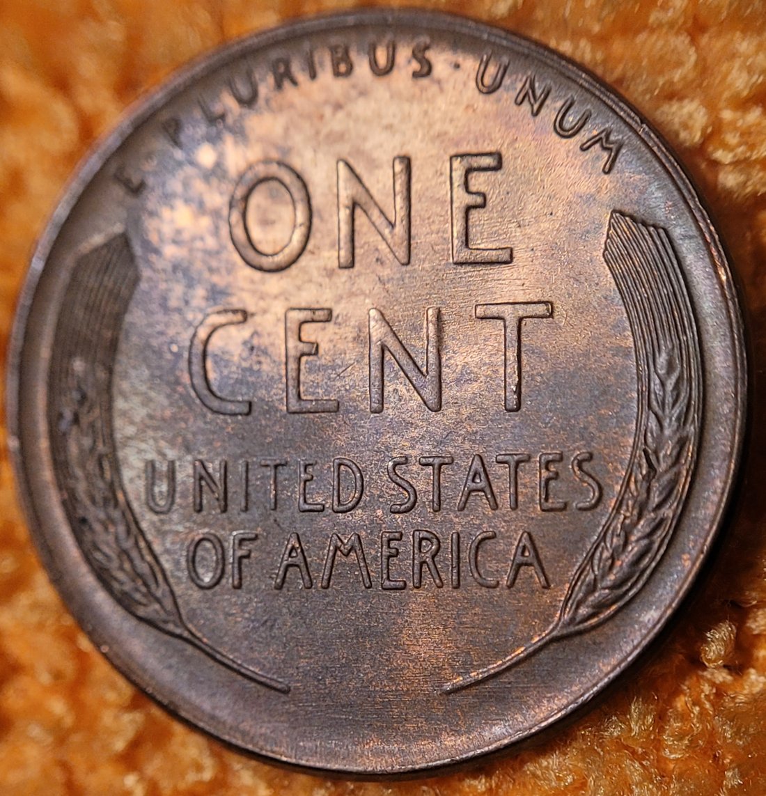 1951-Toned-Wheat-Cent,-For-Grading.