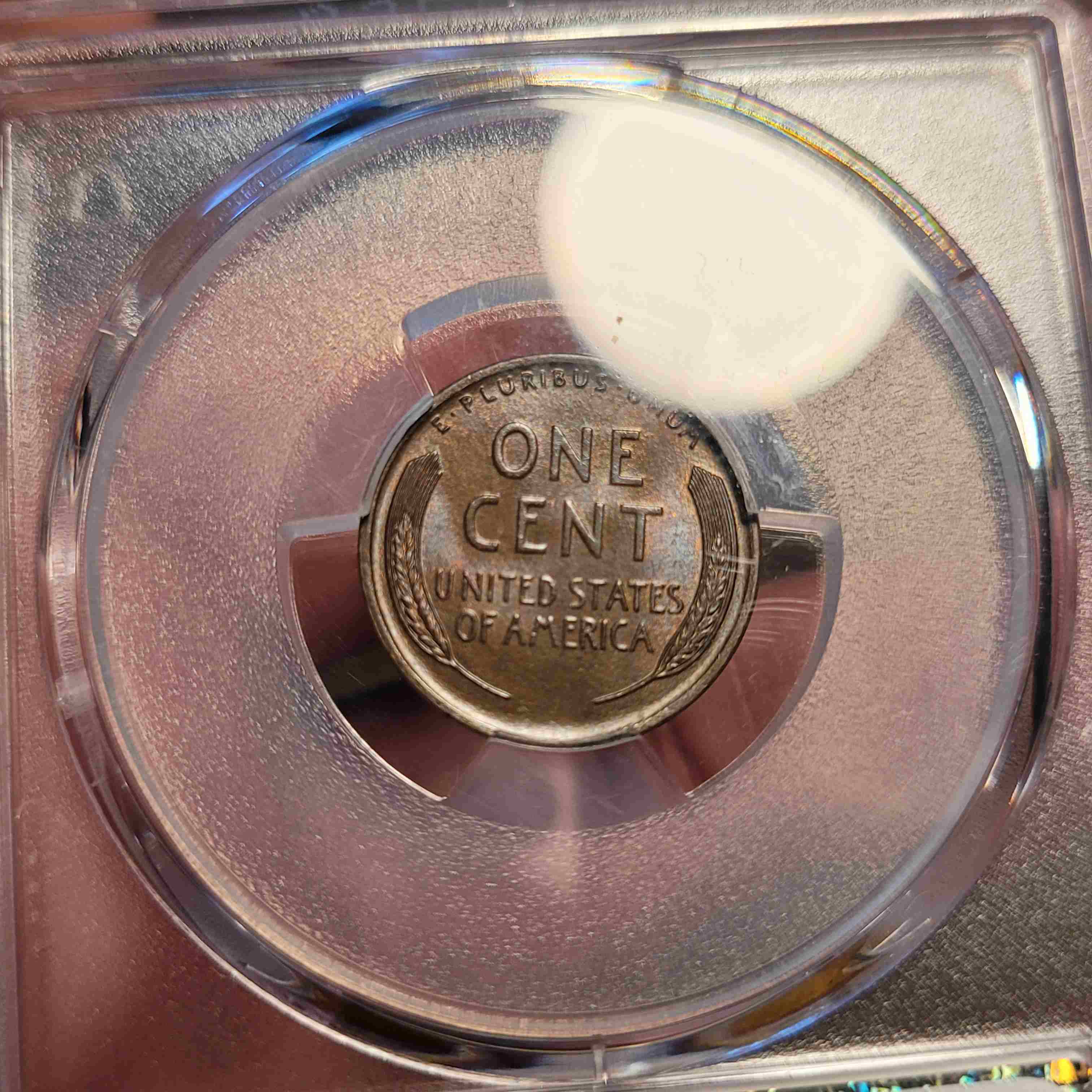 1917-D-Lincoln-Cent,-You-Vs.-PCGS