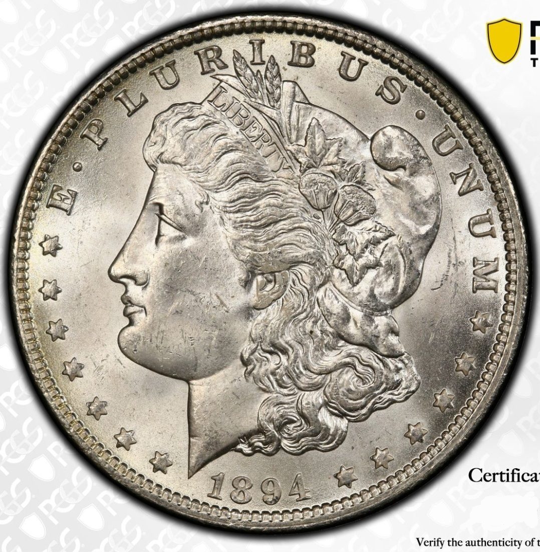1894-O-Morgan-Dollar,-For-Grading