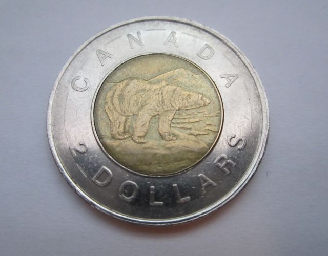 1996-Toonie.-Error?