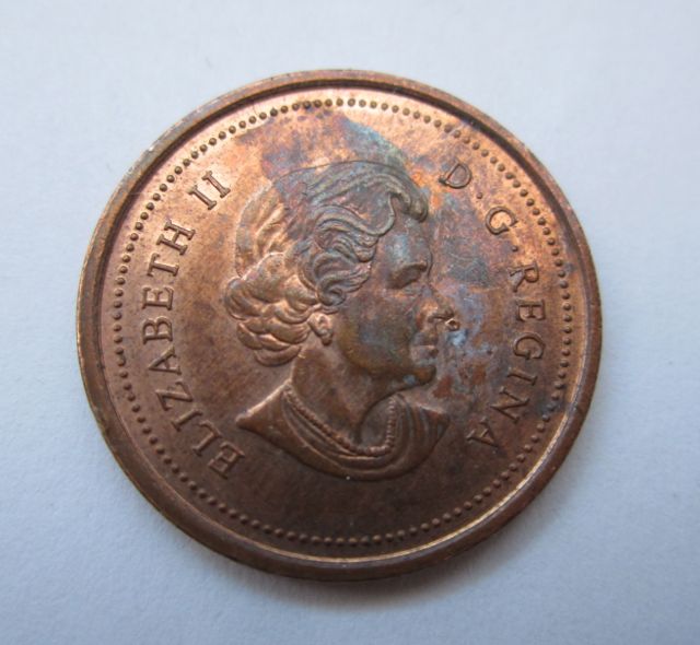 2005-Penny---Elizabeth-With-Nose-Ring