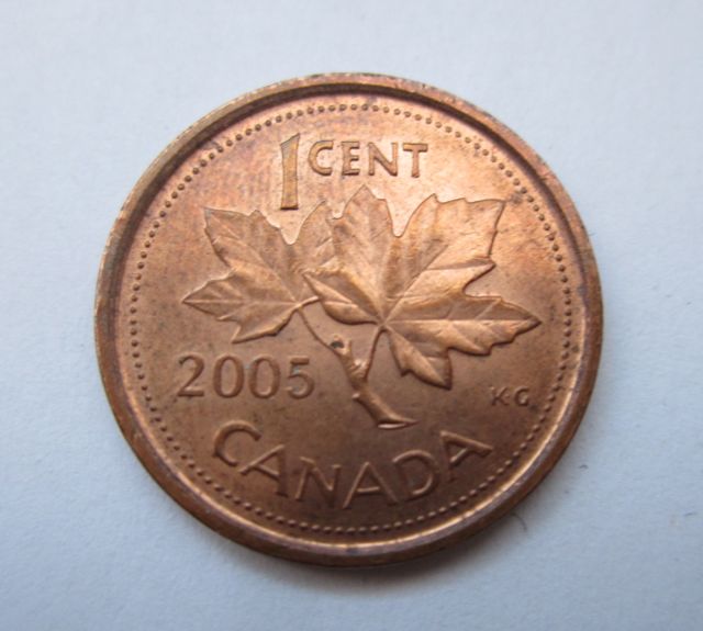 2005-Penny---Elizabeth-With-Nose-Ring