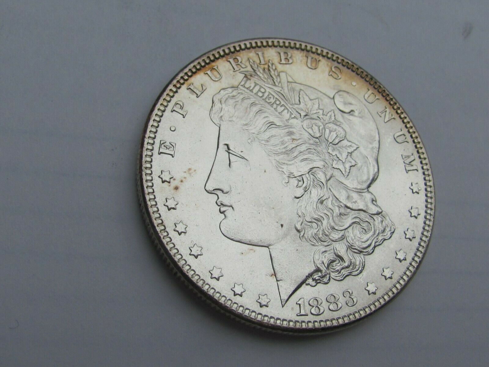 1883-P-Morgan-Dollar-Please-Grade