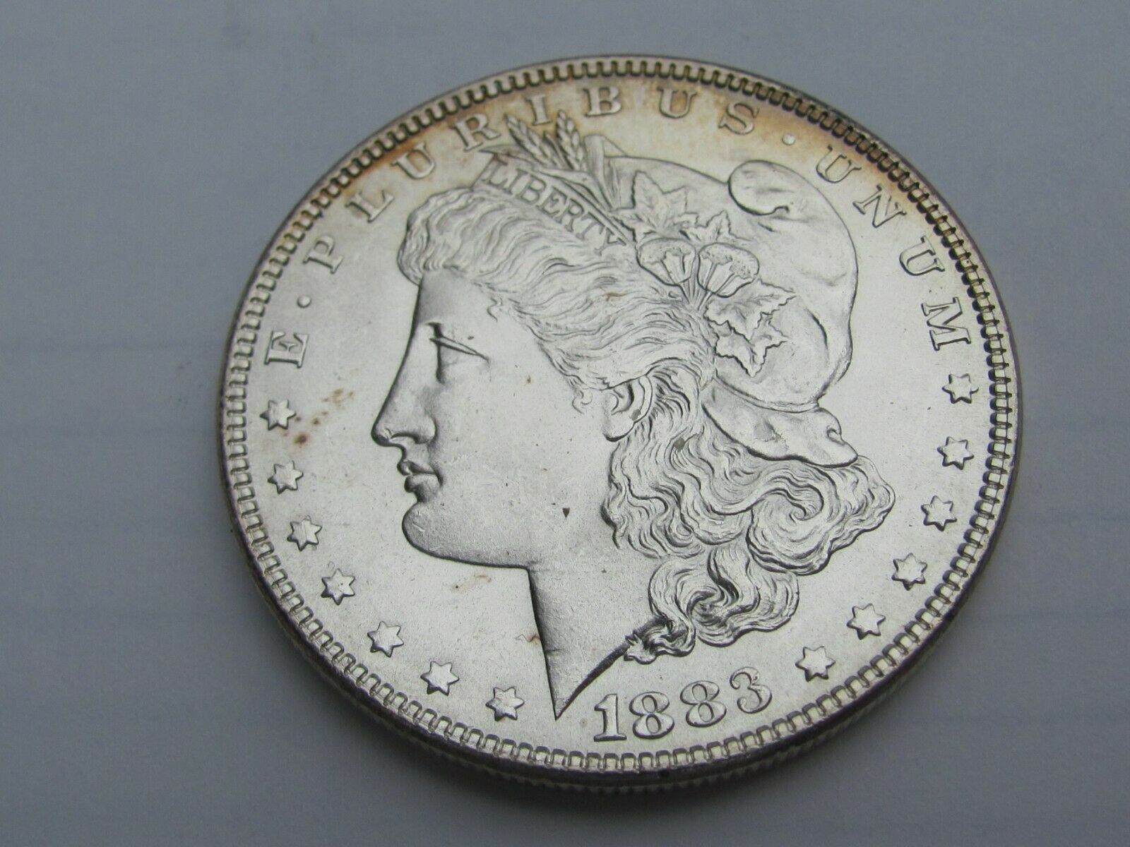 1883-P-Morgan-Dollar-Please-Grade