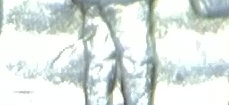 2001-P-Vermont-Quarter---Error-On-Reverse