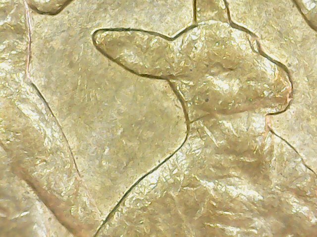 Did-I-Find-A-New-Defect?-2016-$1-'Fork'-Roo?