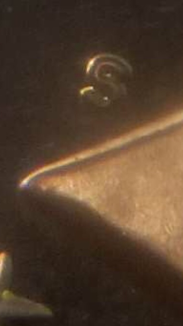 1981-Proof-Set---Can-Anyone-Help-Me-Identify-Type-1-Or-2?