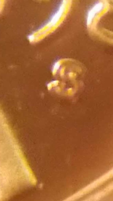 1981-Proof-Set---Can-Anyone-Help-Me-Identify-Type-1-Or-2?