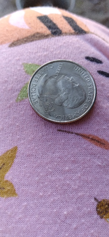 2021-Alabama-State-Quarter-Booboo?