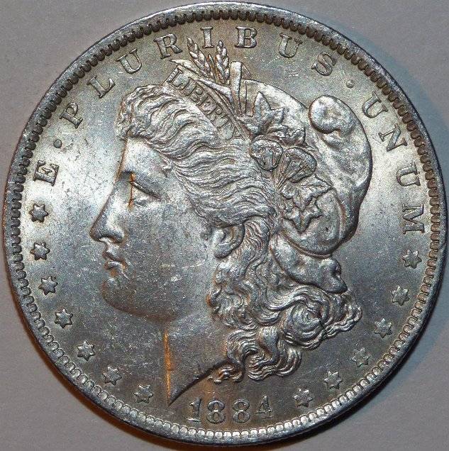#6-Of-My-Silver-Dollars-For-Evaluation---1884-O-Morgan