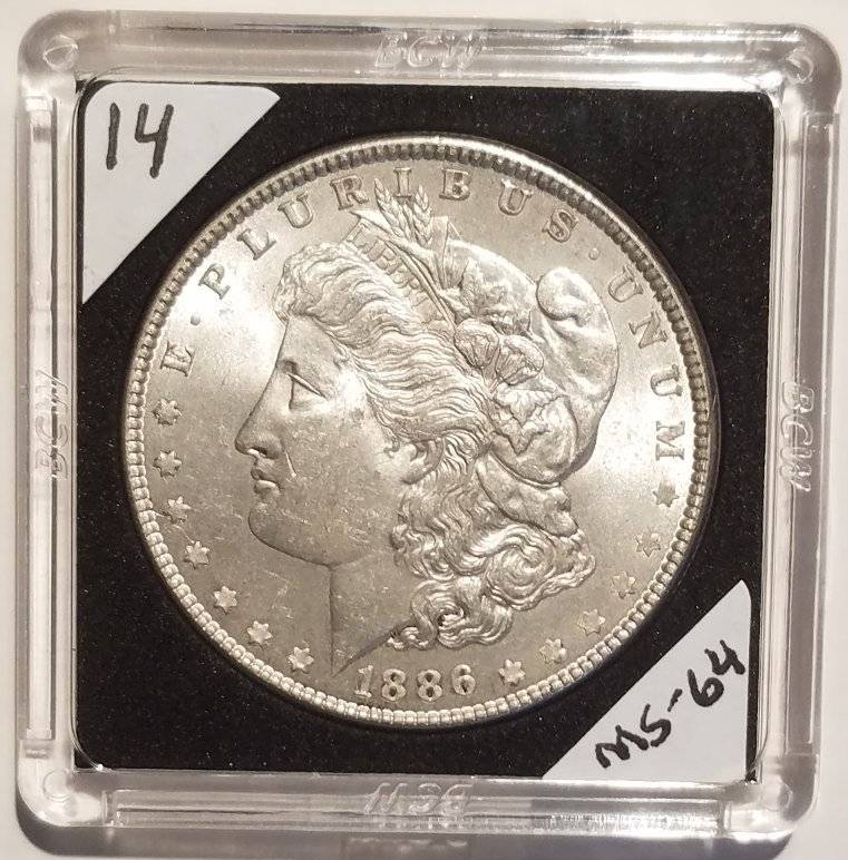 #-14-Of-My-Silver-Dollar-Collection-For--Grading-1886-P-Morgan