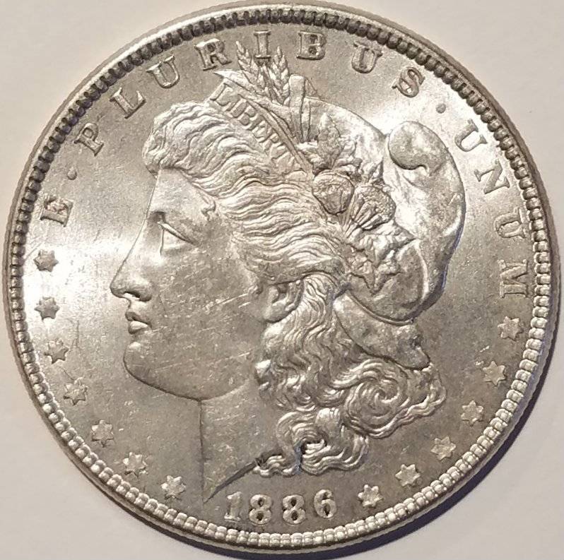 #-14-Of-My-Silver-Dollar-Collection-For--Grading-1886-P-Morgan