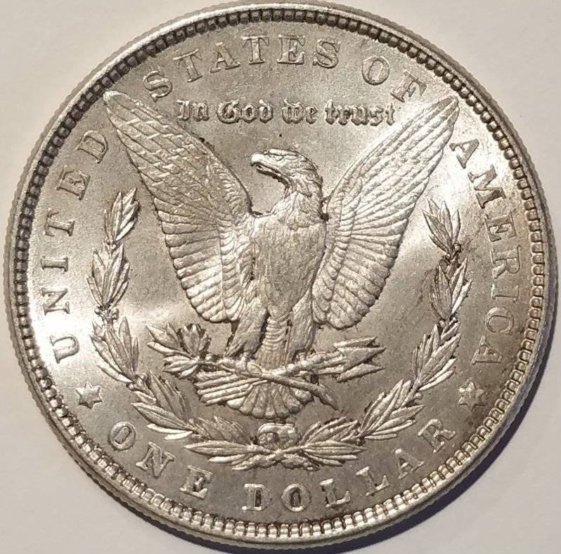 #-14-Of-My-Silver-Dollar-Collection-For--Grading-1886-P-Morgan