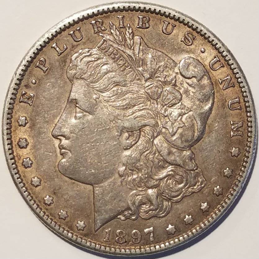 #-15-Of-My-Silver-Dollar-Collection-For--Grading-1897-S-Morgan