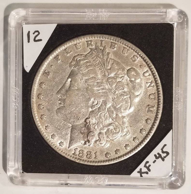 #-12-Of-My-Silver-Dollar-Collection-For--Grading-1881-P-Morgan